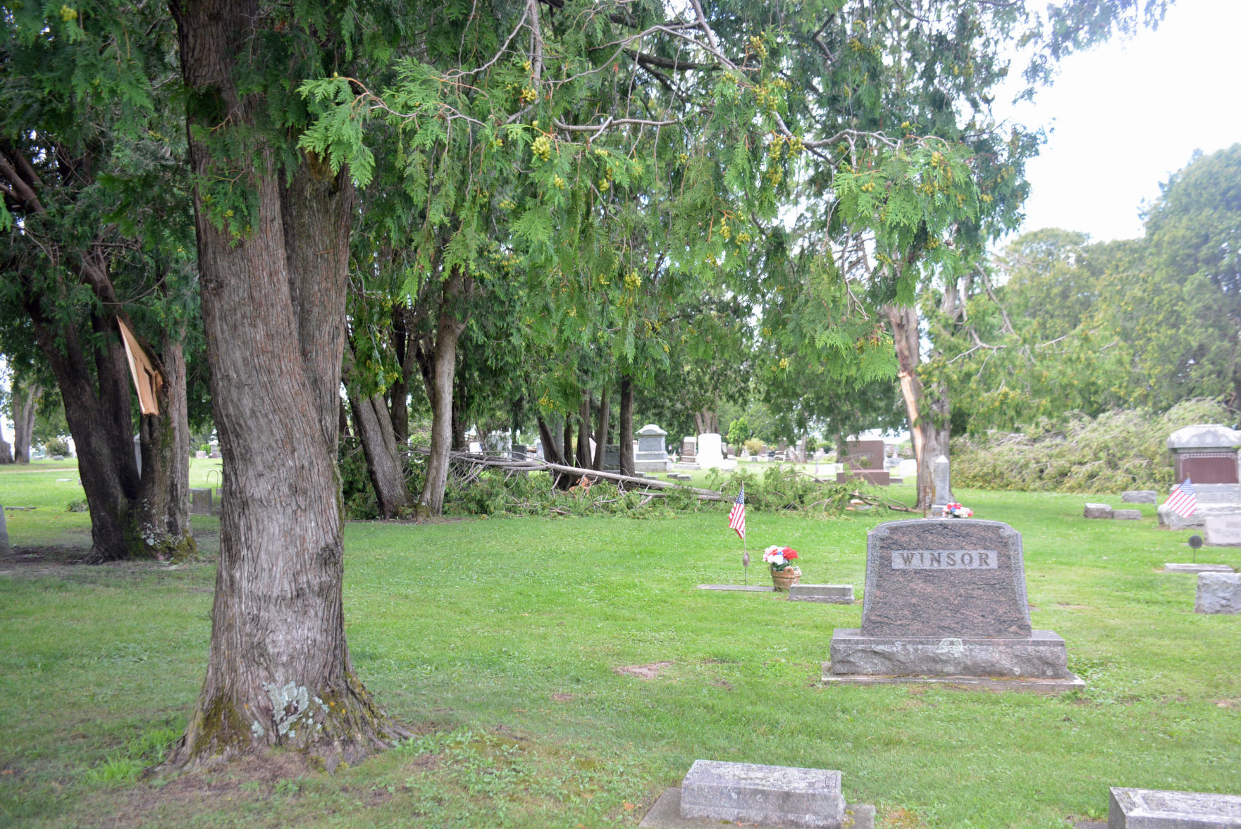 DSC_1594.jpg
